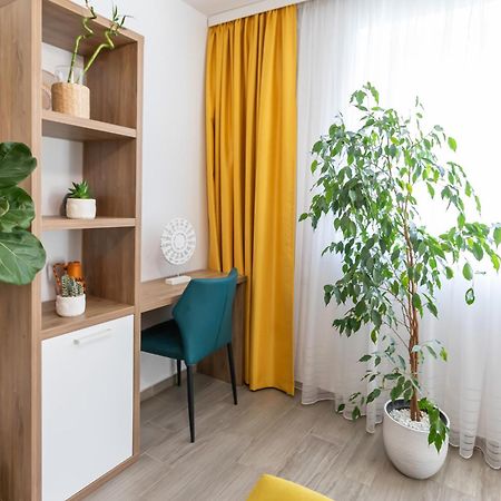 Montana Garden Lägenhet Braşov Exteriör bild